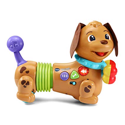 VTech Rattle & Waggle Learning Pup