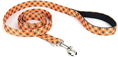 Mighty Paw Halloween Dog Leash, Special Festive Printed Pattern, Neoprene Padded Handle with Durable Polyester Webbing (Standard 30-100 lb Dogs)