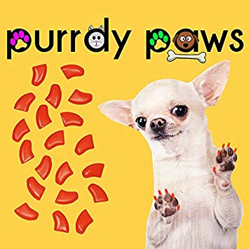 Purrdy Paws 40-Pack Soft Nail Caps for Dogs Claws Orange