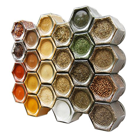 Gneiss Spice Everything Spice Kit: 24 Magnetic Jars Filled with Standard Organic Spices / Hanging Magnetic Spice Rack (Large Jars, Silver Lids)
