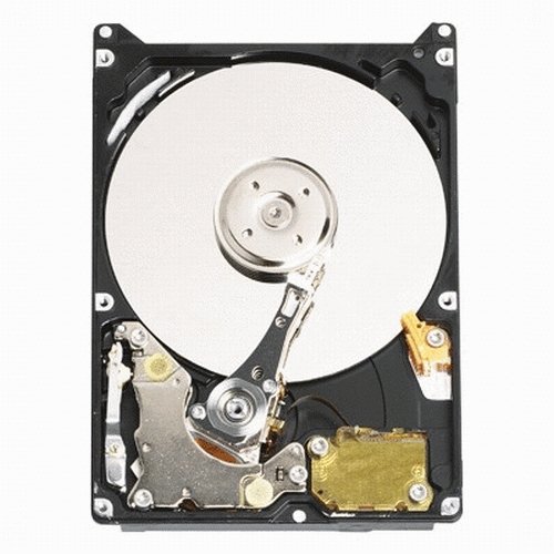 Western Digital 320 GB Scorpio Blue 100 Mb/s 5400 RPM 8 MB Cache Bulk/OEM Notebook Hard Drive - WD3200BEVE