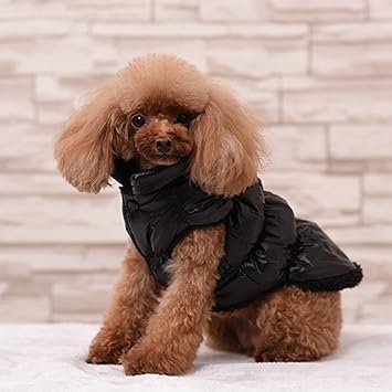 Rantow Autumn Winter Cat Dog Clothes Warm Coat, 7 Classic Colours Outerwear Down Jacket for Teddy, Yorkshire Terrier, Chihuahua, Pomeranian (S, Black)