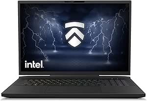 Eluktronics MECH 17 GP2 Liquid Cooled Gaming Laptop: Intel i9-13900HX, NVIDIA RTX 4090, 17" 16:10 240Hz QHD G-SYNC Display, Cherry Keyboard, 99WHr Battery, 1TB PCIe Gen 4 SSD, 16GB DDR5 RAM LPP G2