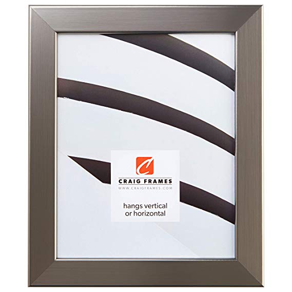 Craig Frames 26966 8 x 31-Inch Picture Frame, Smooth Wrap Finish, 1.26-Inch Wide, Silver Stainless