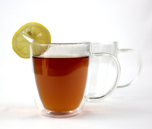 VizCása 16 Ounce Double-Wall Insulated Glass Coffee & Tea Mug Cups (Individual Cups)