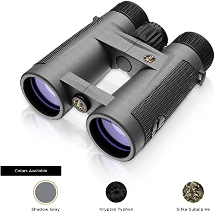 Leupold BX-4 Pro Guide HD 10x42mm Binocular