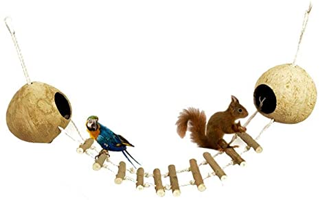 Beito 1Set Pet Coconut House Ladder Toy for Squirrel Bird Hamster Ladder Swing Toy Natural Coconut Hideaway Nest House