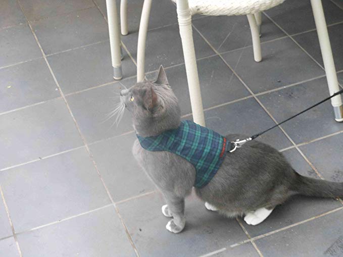 Mynwood Cat Jacket/Harness Black Watch Tartan Adult Cat