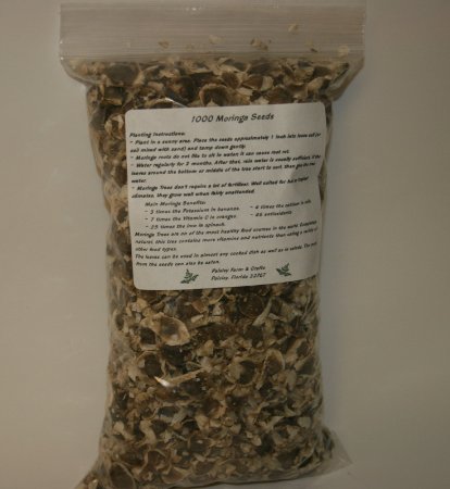 10 Oz 1000 Traditional Moringa Oleifera Seeds