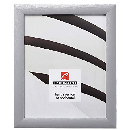 Craig Frames 23247018 Picture Frame, 16 x 24 Inch, Brushed Silver