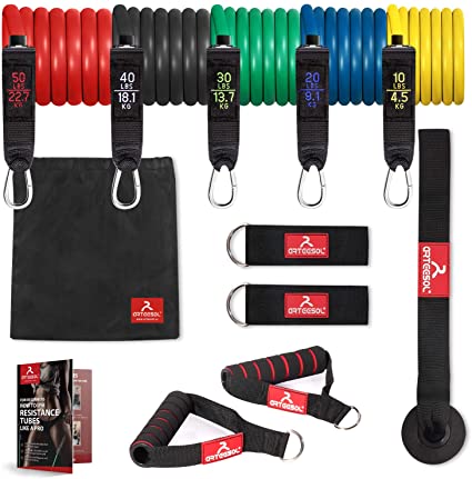 arteesol Resistance Bands Set - 12 pcs, Strength Exercise Bands Strackable Up to 150 lbs, Elastic Fitness Workout Bands with Door Anchor,Handles, Ankle Straps, Carrying Pouch and Workout Guides,for Home Muscle Build,Gym,Yoga