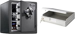 SentrySafe Fireproof and Waterproof Steel Home Safe with Locking Drawer Bundle