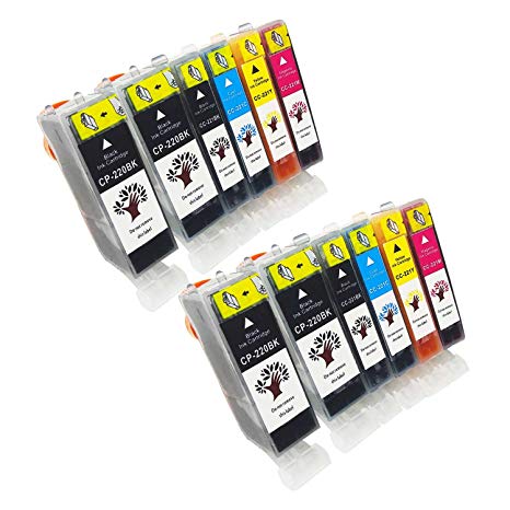 GREENSKY 12 Pack Compatible Ink Cartridge Replacement for Canon PGI-220 & CLI-221(4BX,2B,2C,2M,2Y) Compatible With Canon PIXMA MX860, MP540, MP550, MP560, MP620, MP630, MP640, MP990, iP4600 etc