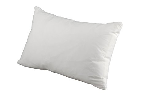 Premium 100% White Goose Down Soft Pillow. Queen Size [Soft]