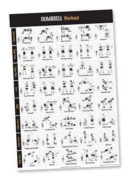Dumbbell Workout Exercise Poster ● Home Gym ● Dumbbell Workouts ● Strength Training ● Building Muscles ● Fitness Program ● Workout Poster ● Workout Routines ● Bodybuilding ● 20 x 30.5 Inches