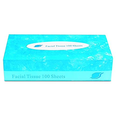GEN FACIAL30100 Boxed Facial Tissue, 2-Ply, White, 100 Sheets per Box (Case of 30)
