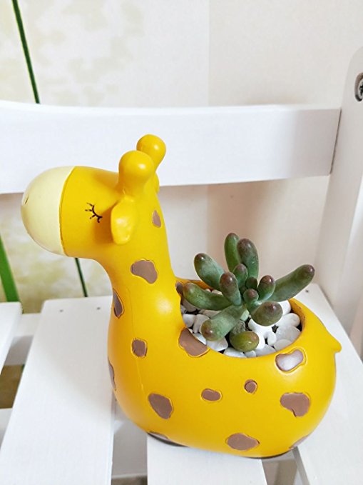Cuteforyou Cute Animal Shaped Cartoon Home Decoration Succulent Vase Flower Pots