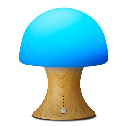 Night Light Tenswall 7 Color Changing Ambient Lights Crystal Mushroom Variable Appearance Portable Moving Lamp Table Light with Rechargeable Built-in 1200mah Battery