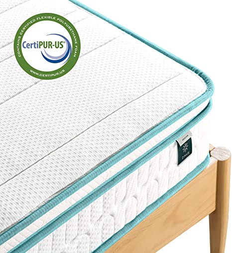 ZINUS 8 Inch Memory Foam Spring Hybrid Mattress/Euro Top Innerspring Mattress/Green Tea-Infused Foam/CertiPUR-US Certified/Mattress-in-a-Box, Twin