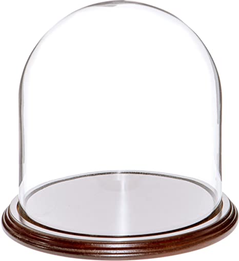 Plymor 8" x 8" Glass Display Dome Cloche (Dark Mahogany Veneer Base)