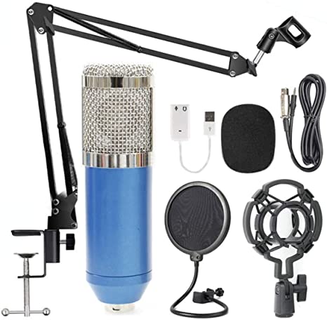 BM-800 Condenser Microphone Black  Pop Filter Wind Screen   Arm Stand with XLR Male to XLR Female Microphone Cable for Studio Recording