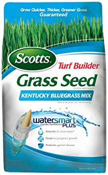 Scotts 18266 Turf Builder Kentucky Blue Grass Seed Mix (6 Pack), 3 lb