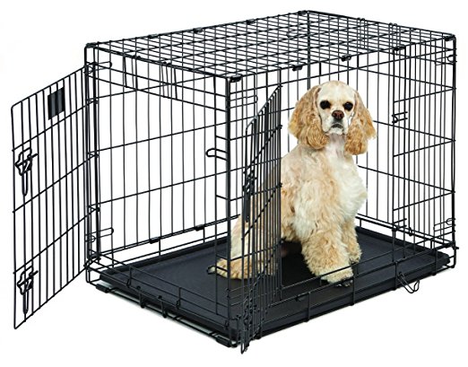 MidWest Life Stages Double-Door Folding Metal Dog Crate, 30 Inches by 21 Inches by 24 Inches