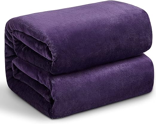 Hansleep Fleece Blanket Twin Size Purple, Soft Cozy Twin Blanket, Fuzzy Flannel Lightweight Blanket for Bed, Sofa, Couch, Travel, Camping, Purple, 60x80 Inches