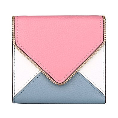 Dante Women's RFID Blocking Small Compact Bifold Leather Pocket Wallet Ladies Mini Purse with id Window