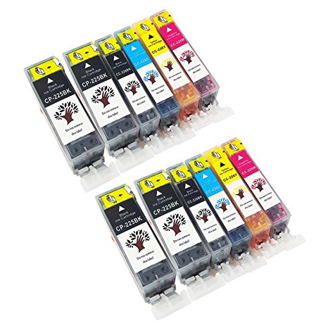 GREENSKY 12 Pack Compatible Ink Cartridge Replacement For Canon PGI-225 & CLI-226 (4BX,2B,2C,2M,2Y) Compatible With Canon MG8220 MG6220 PIXMA MX892 MG5120 MG5320 MG6120 MG5220 MG8120 iP4820 iP4920