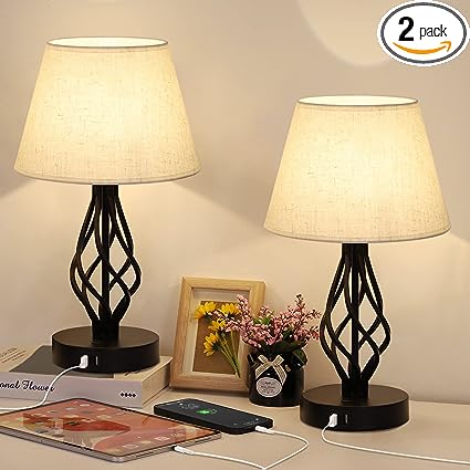 Bedside Table Lamp Set of 2 with Dual USB Ports,Modern Nightstand Desk Lamp with Spiral Cage for Bedroom,Living Room,Kids Room Study