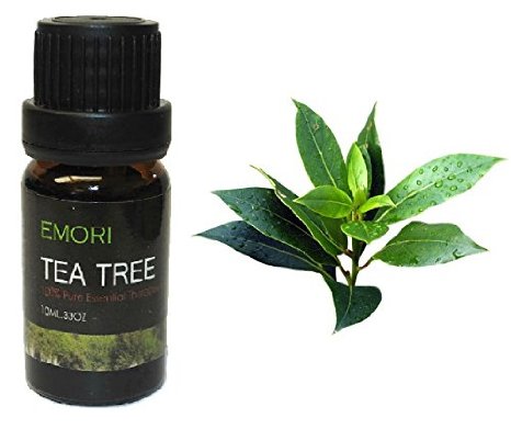 Tea Tree - 100% Pure Therapeutic Grade Essential Oil 10ML