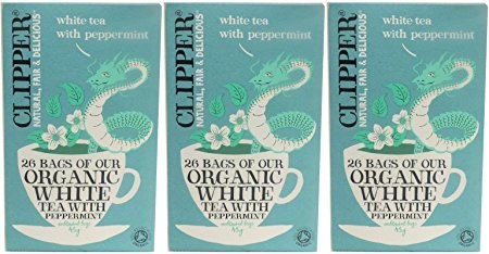 (3 PACK) - Clipper - Organic White Tea  Peppermint | 26 Bag | 3 PACK BUNDLE