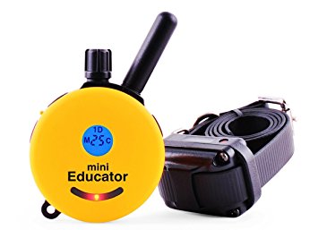Best Dog Training e Collar - Educator Remote Trainer System - WaterProof - Vibration Tapping Sensation With eOutletDeals Value Bundle