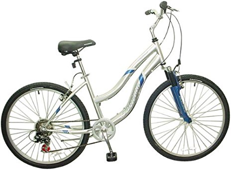 Schwinn Searcher Bike (26-Inch, Silver)