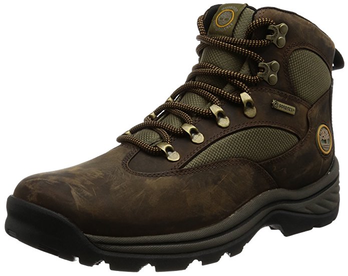 Timberland Men's Chocorua Trail Gore-Tex Mid Hiking Boot
