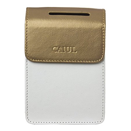 CAIUL PU Leather Case for Fujifilm INSTAX SHARE SP-2 Smart Phone Printer (Gold)