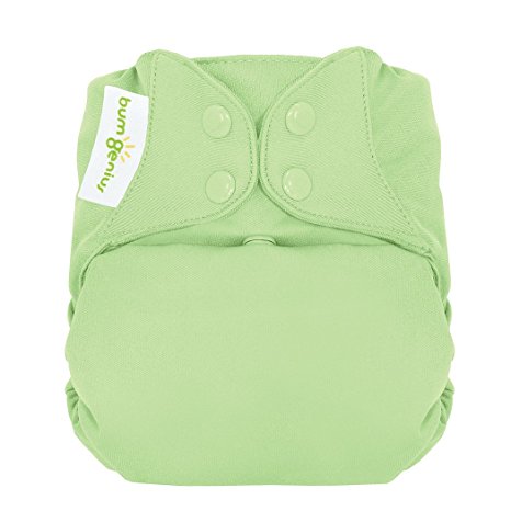 bumGenius Freetime All-In-One One-Size Snap Closure Cloth Diaper (Grasshopper)