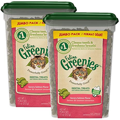 FELINE GREENIES Dental Cat Treats