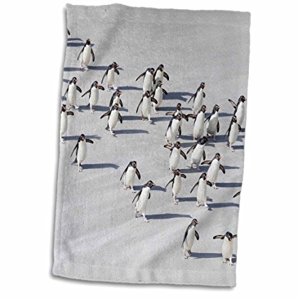 3D Rose Aerial of Rock Hopper Penguins Crossing the Wet Beach-Antarctica Hand Towel, 15" x 22"