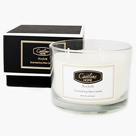 BEST Candles Scented Soy Wax Aromatherapy Candles Gift Boxed 3 Wick Candle 13oz White Tea and Ginger By Caitlins Home