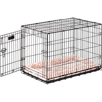 Precision Pet ProValu Single-Door Dog Crate in Black