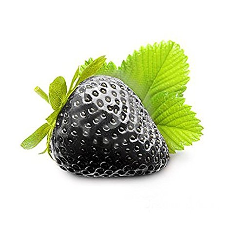 SD-0553 NEW Black STRAWBERRY, GIANT, wild, LARGEST FRUIT, EVERBEARING (40seeds)
