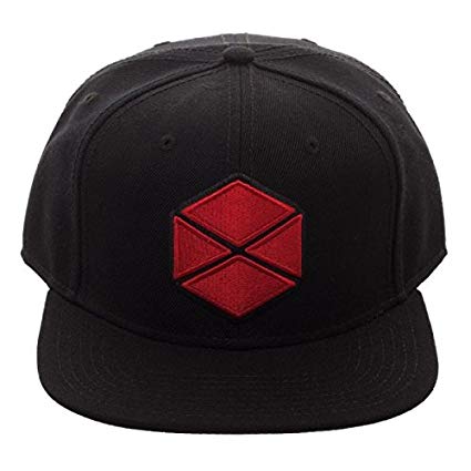 Destiny 2 Titan Logo Core Line Black Adjustable Snapback