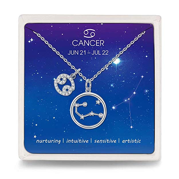 Presentski Zodiac Necklace Sterling Silver 12 Constellation Horoscope Pendant Astrology Star CZ Dainty Necklaces Birthday Gifts for Women Girls