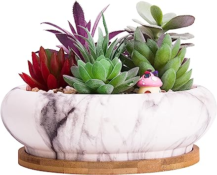 ARTKETTY Succulent Plant Pots, 18.5 CM Large Bonsai Pots with Drainage Tray, Marble Shallow Flower Pots Ceramic Pots for Indoor Cactus Plants