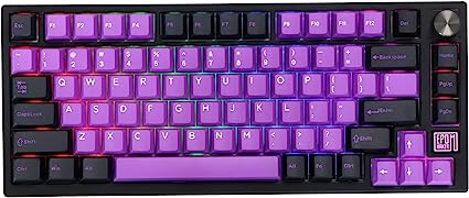 EPOMAKER TH80 SE Gasket 75% Mechanical Keyboard, NKRO Hot Swappable RGB Triple Mode Gaming Keyboard with Poron/EVA Foam, Programmable, Knob Control for E-sport/Windows/Mac (Gateron Pro Yellow)