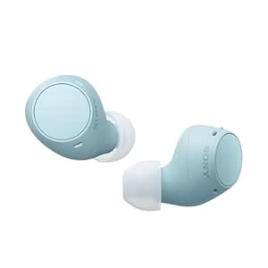 Sony WF-C510 Truly Wireless Bluetooth Earbuds with Mic, TWS, Up to 22 Hours Battery, Ambient Sound Mode, Small and Comfortable, IPX4- Blue