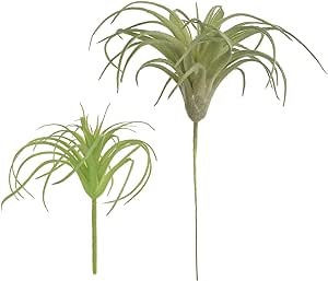 Cosmos Pack of 2 Artificial Succulents Plants Air Plants Faux Succulent Greenhouse Small Plants Unpotted Greenery Plant for Home Terrarium Arrangements Office Decor