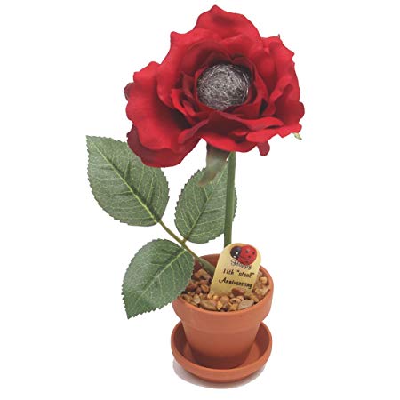 11th Year Wedding Anniversary Gift, Potted Steel Desk Rose, Perfect Present for Wife or Husband